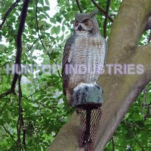 Decoy Owls Scare Birds Away